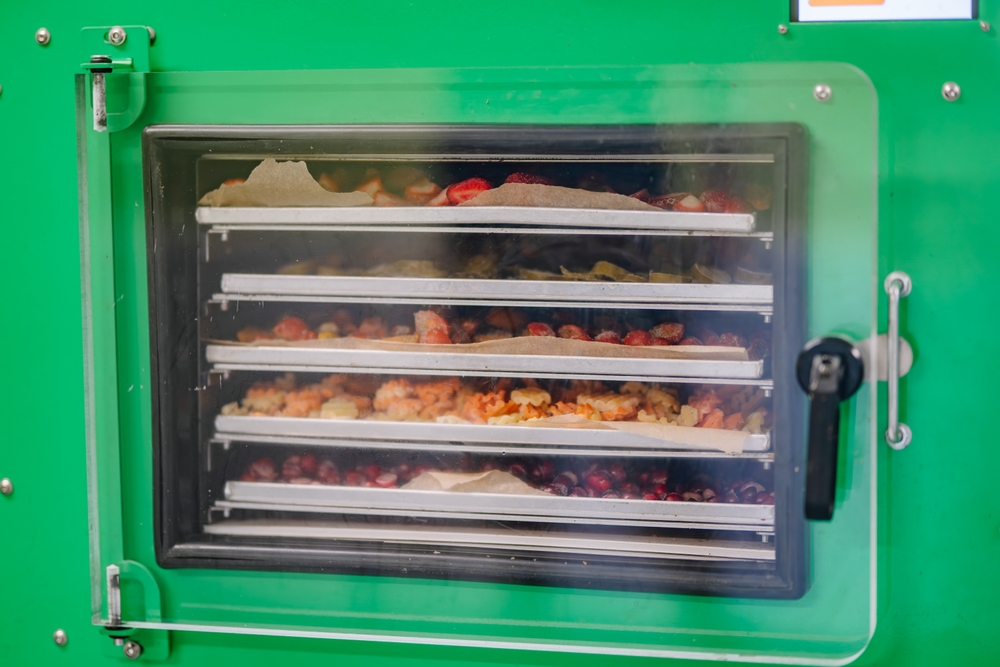 Engineered for excellence: Custom freeze-drying systems by MVS Technologies