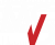 mvs-logo-white